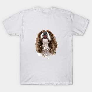 Cavalier King Charles Spaniel Looking Up T-Shirt